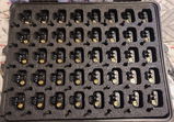 Gledion G. review photo