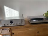 Thibaut MINEL review photo