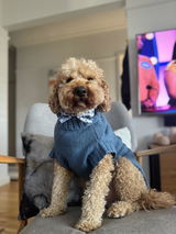 Coco & Pud Coco Cable Dog Sweater/ Dog Jumper - Boathouse Blue