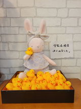 こん review photo