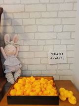 こん review photo