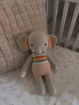Hollis T review photo