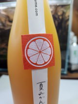 k.l. review photo