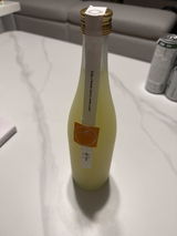 RohGun young review photo