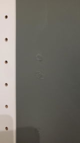 KMT review photo