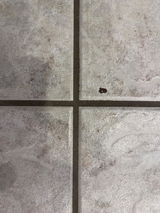 Deb S review photo