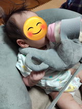 ゆず茶 review photo
