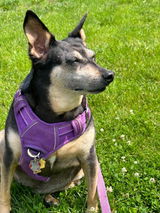 Debby W. review photo