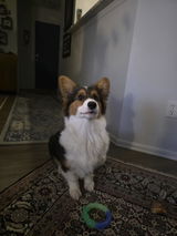 Sandy review photo