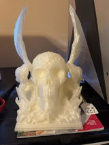 Sue S.J. review photo