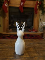 ryan v. review photo