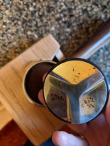Marie-Annick Scott review photo