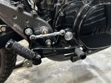 Norton Muzzone review photo