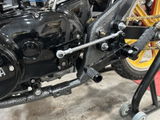 Norton Muzzone review photo