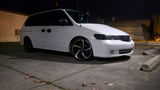 Sylvester H. review photo