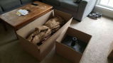 Camille D. review photo