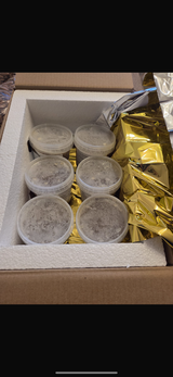 Dragos review photo