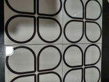 Andrew Rausch review photo