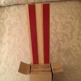NCognito review photo