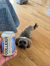 Rufus the small Dog review photo