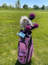 Krista Lesage review photo