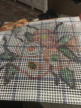 Merle B. review photo