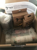Elodie B. review photo