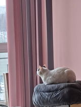 Ирина С. review photo