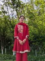 Ishukanavs review photo