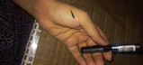 insha n. review photo
