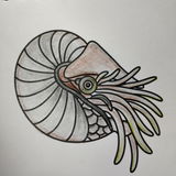 Gill C review photo