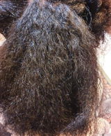COLVARA Collagen & Hair Treatment 5.0 Ultra