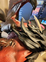 Cory Schneider review photo