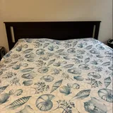 Jennifer Carlsbad, CA review photo