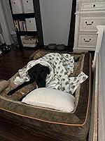 Hailey review photo