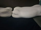 Evelyn R. review photo