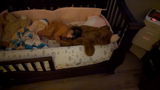 Sandra E Scarlett-Bartee review photo