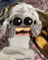 Rachel Adams review photo