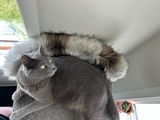 Maggie&Lola review photo