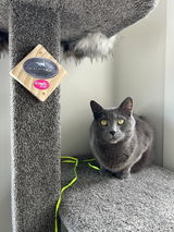 Maggie&Lola review photo