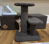 @Kosmic.cats.nz review photo