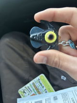Michael Boydo review photo