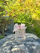 Kelly Stephany review photo