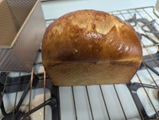 Shelley K Bossert review photo
