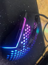Hassan review photo