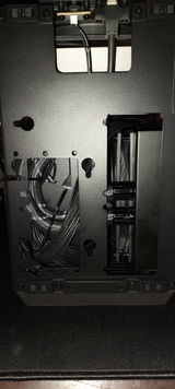 Leo T. review photo