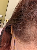 Melany review photo