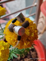 Shankar Rao review photo