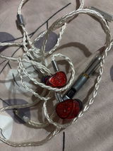 Anil Kamble review photo