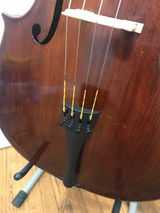Ben W. review photo